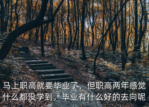 马上职高就要毕业了，但职高两年感觉什么都没学到，毕业有什么好的去向呢