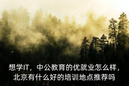 想学IT，中公教育的优就业怎么样，北京有什么好的培训地点推荐吗