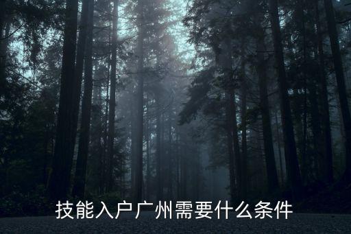 2017广州技能入户怎么,技能入户广州