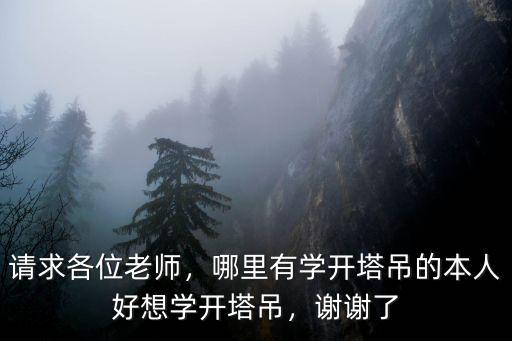 请求各位老师，哪里有学开塔吊的本人好想学开塔吊，谢谢了