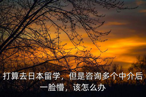 打算去日本留学，但是咨询多个中介后一脸懵，该怎么办
