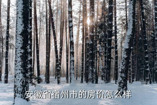 安徽省宿州市的房价怎么样