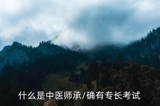 什么是中医师承/确有专长考试