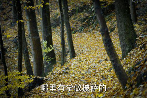 南京哪里有学做披萨的,哪里有学做披萨的