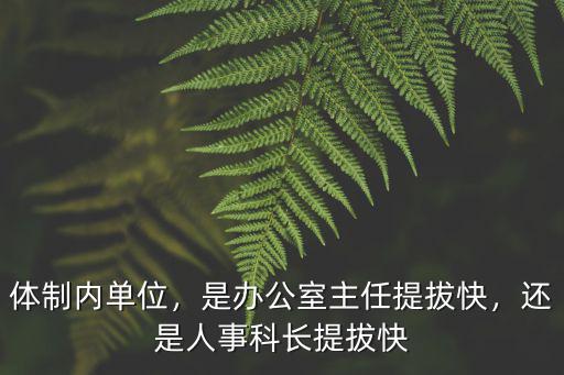 体制内单位，是办公室主任提拔快，还是人事科长提拔快
