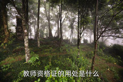 教师培训证书什么作用,教师资格证的用处是什么