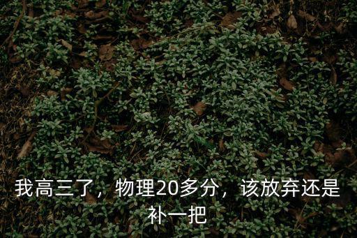 我高三了，物理20多分，该放弃还是补一把