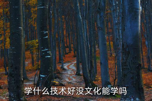学什么技术好没文化能学吗