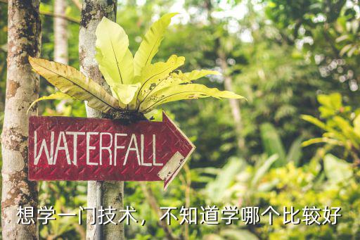 学技术学什么比较好,学手艺学什么比较好
