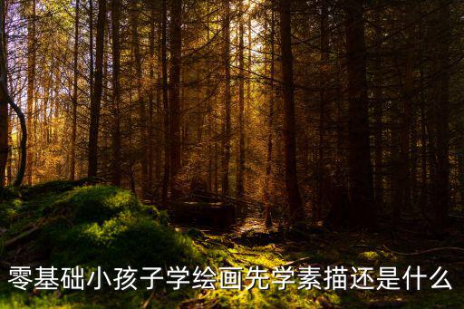 零基础小孩子学绘画先学素描还是什么