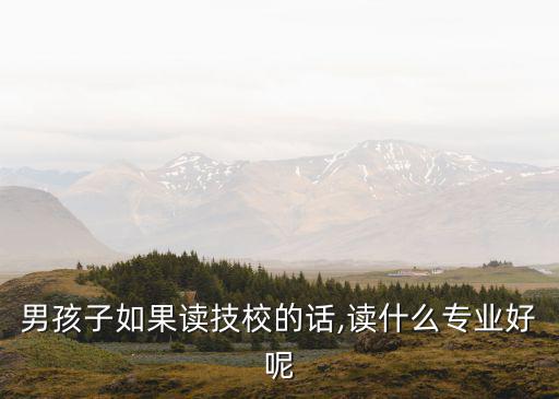 男孩子如果读技校的话,读什么专业好呢