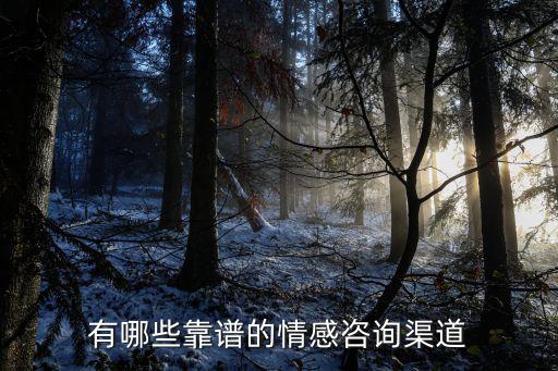 有哪些靠谱的情感咨询渠道