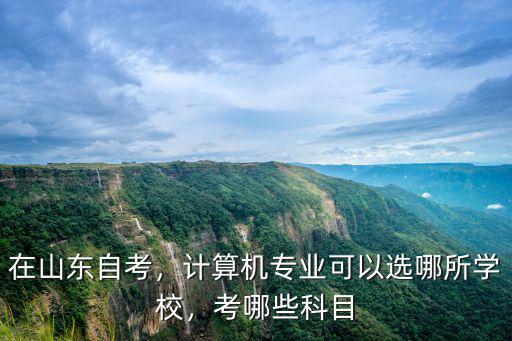在山东自考，计算机专业可以选哪所学校，考哪些科目
