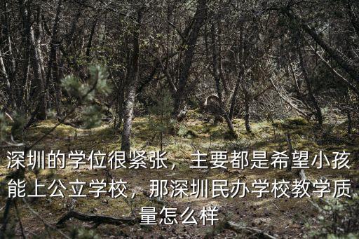 深圳教学质量怎么样,深圳的学位很紧张