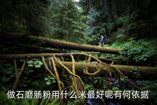 做石磨肠粉用什么米最好呢有何依据