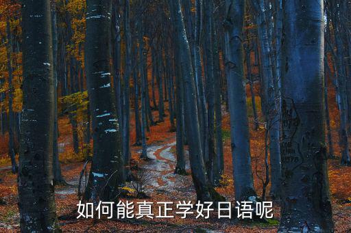 怎么样学好日语用日语,如何能真正学好日语呢