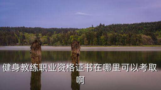 健身教练职业资格证书在哪里可以考取啊