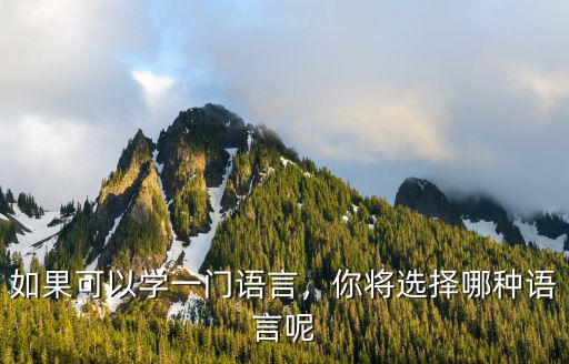 学什么语言好,学什么语言比较好