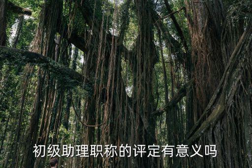 初级助理职称的评定有意义吗