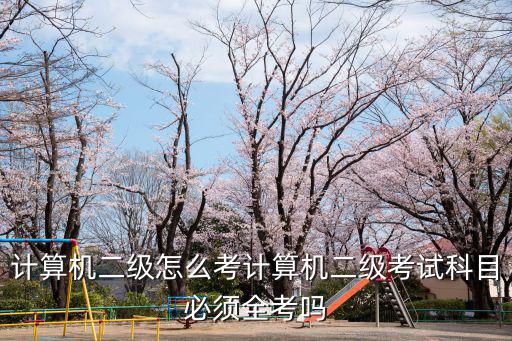计算机二级怎么考计算机二级考试科目必须全考吗