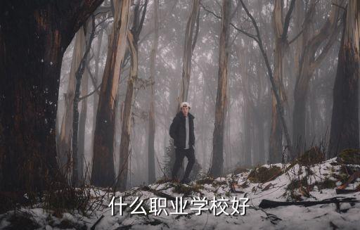 什么职业学校好