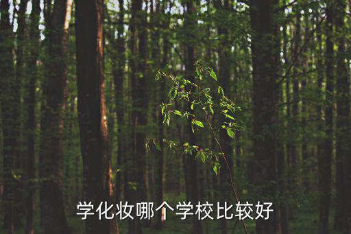 学化妆哪个学校比较好