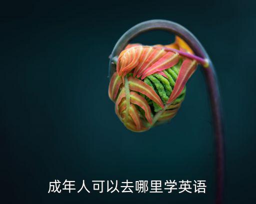 成年人可以去哪里学英语