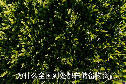 为什么全国到处都在储备物资