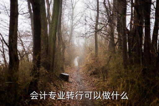 会计专业转行可以做什么