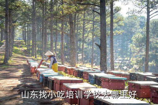 山东找小吃培训学校去哪里好