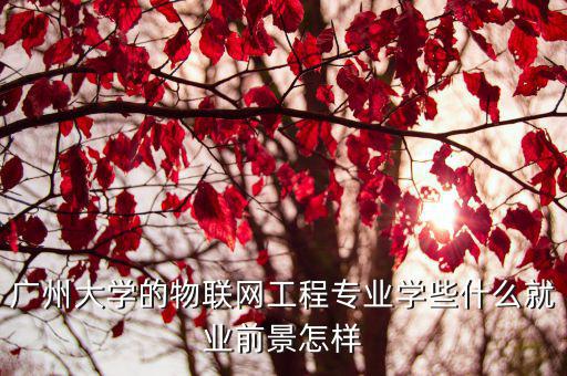 广州大学的物联网工程专业学些什么就业前景怎样