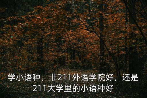 学小语种，非211外语学院好，还是211大学里的小语种好