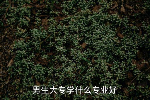 男生大专学什么专业好