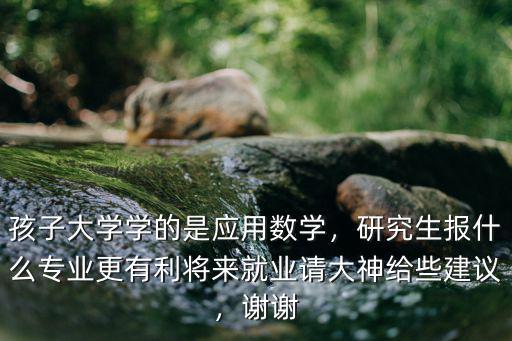 孩子大学学的是应用数学，研究生报什么专业更有利将来就业请大神给些建议，谢谢