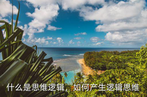 什么是思维逻辑，如何产生逻辑思维