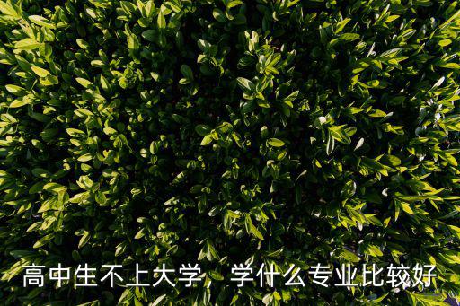 高中生不上大学，学什么专业比较好