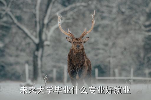 现在什么学校就业前景,大学毕业生的就业前景如何