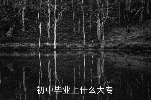 初中毕业上什么大专