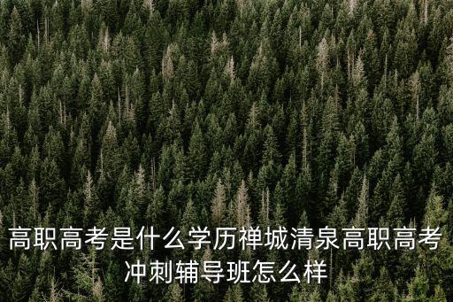 高职高考是什么学历禅城清泉高职高考冲刺辅导班怎么样
