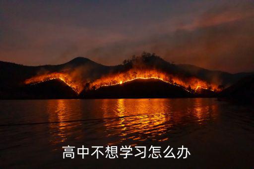 高中不想学习怎么办
