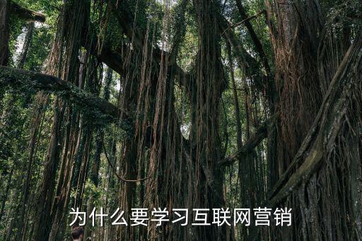为什么要学习互联网营销