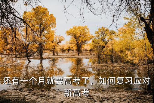 高考怎么复习,如何复习应对新高考