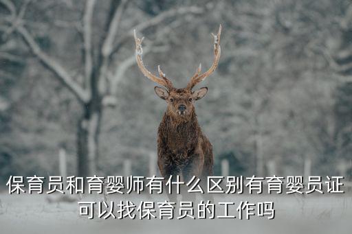 保育员和育婴师有什么区别有育婴员证可以找保育员的工作吗