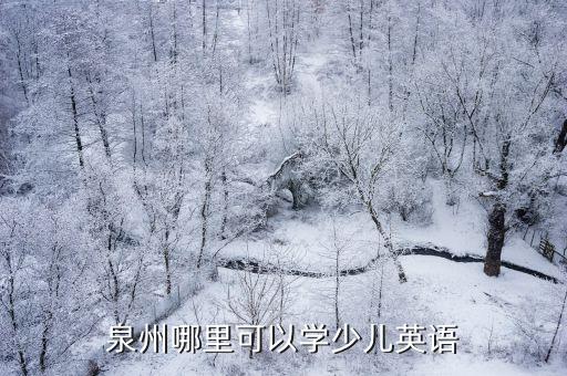 泉州哪里可以学少儿英语