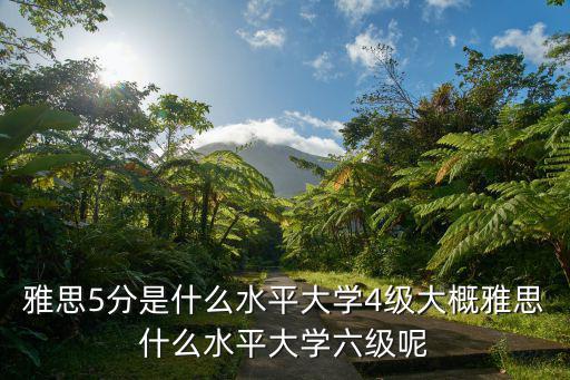 雅思六级 什么水平,雅思5分是什么水平