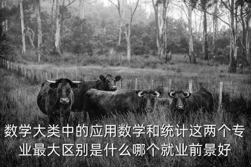 数学大类中的应用数学和统计这两个专业最大区别是什么哪个就业前景好