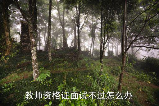 教师资格证面试不过怎么办