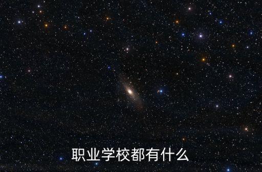 职业学校都有什么