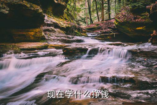 学什么吃的最赚钱,学什么手艺最好