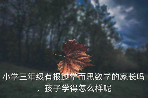 小学三年级有报过学而思数学的家长吗，孩子学得怎么样呢